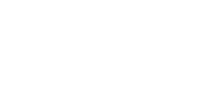 Logo client Candia